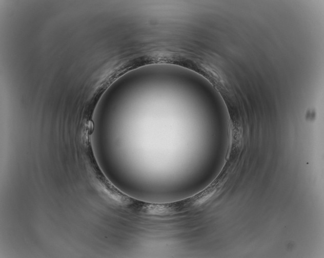 X0000090480766200707201415