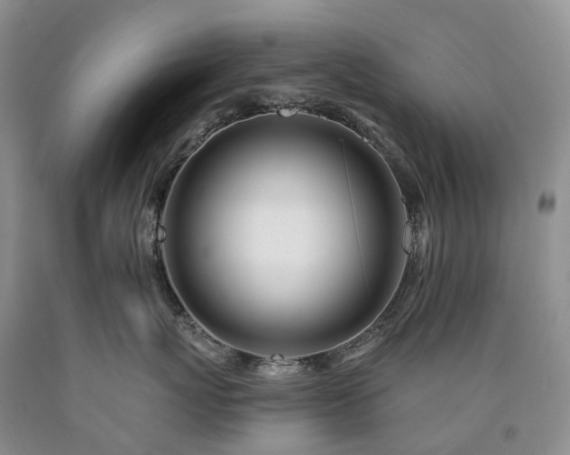 X0000090480767200707201415
