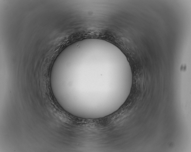 X0000090480769200707201415