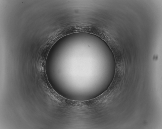 X0000090480770200707201415