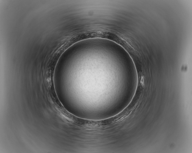 X0000090480771200707201415