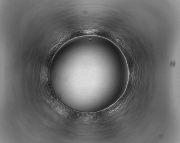 X0000090480772200707201415
