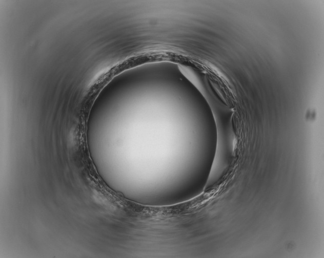 X0000090480775200707201414