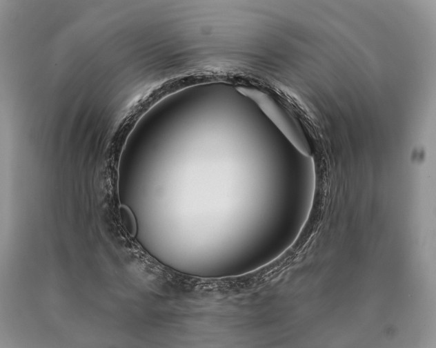 X0000090480776200707201414