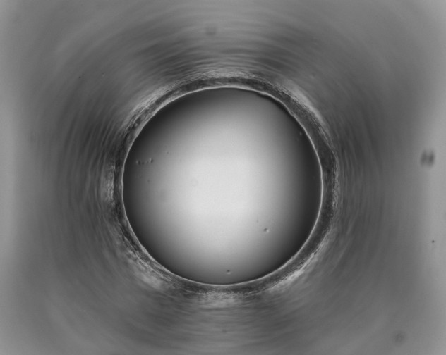X0000090480777200707201414