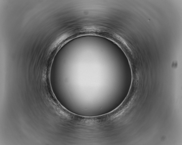 X0000090480778200707201414