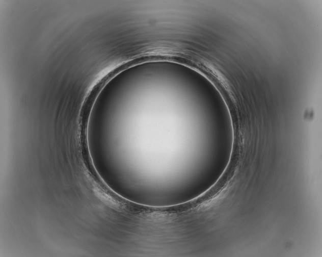 X0000090480779200707201414