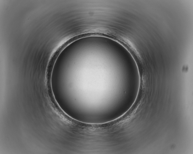 X0000090480780200707201414