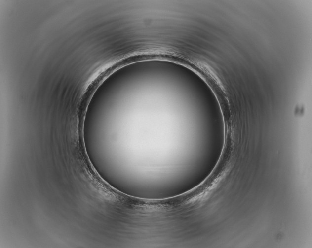X0000090480781200707201414