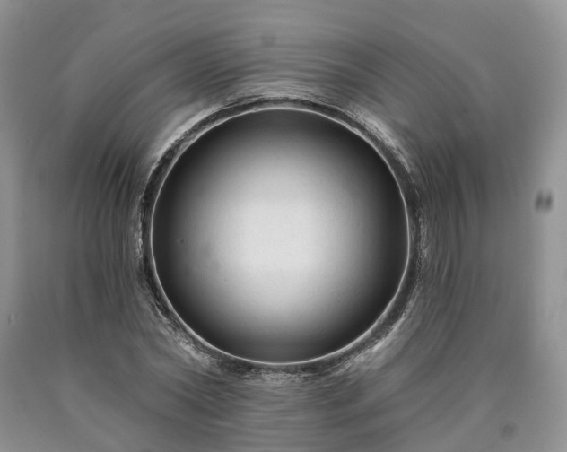X0000090480782200707201414