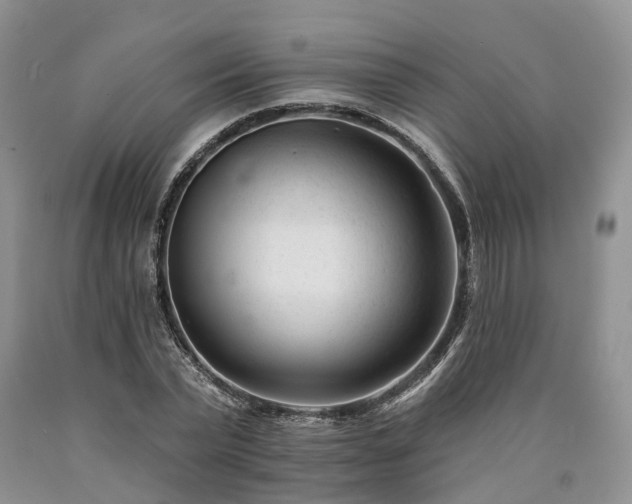 X0000090480783200707201414