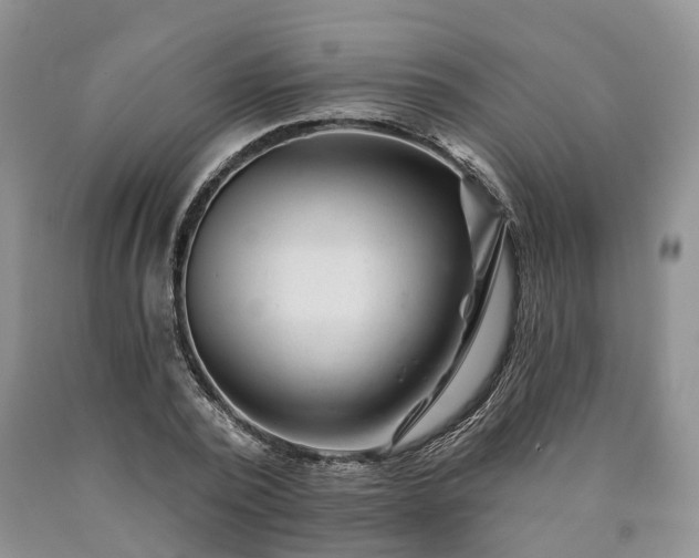 X0000090480784200707201414