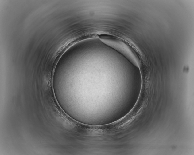 X0000090480785200707201414