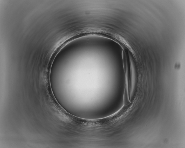 X0000090480786200707201414