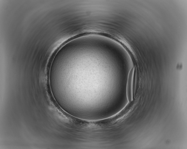 X0000090480787200707201414