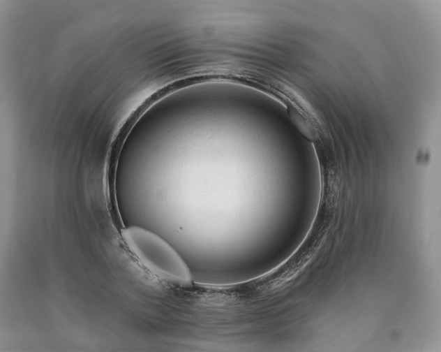 X0000090480788200707201414