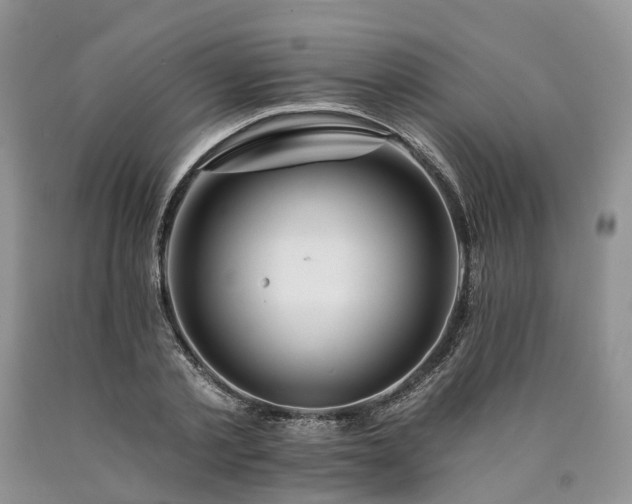 X0000090480789200707201414