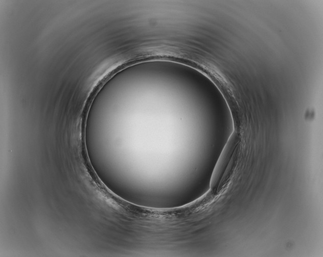 X0000090480790200707201414