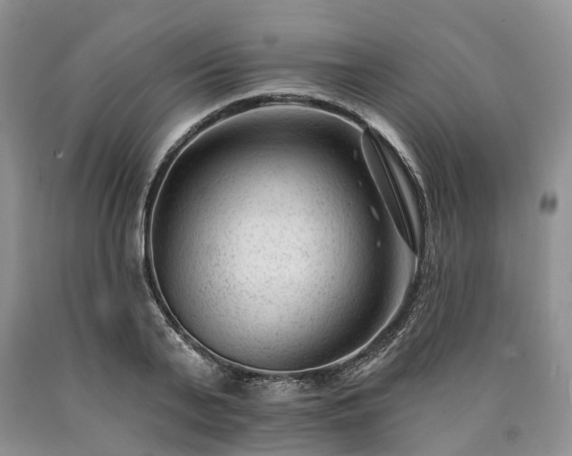 X0000090480791200707201414
