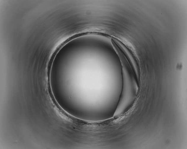 X0000090480792200707201414