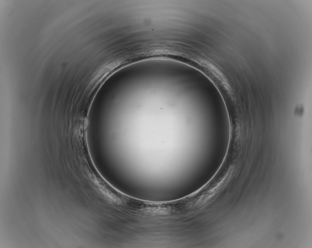 X0000090480793200707201414