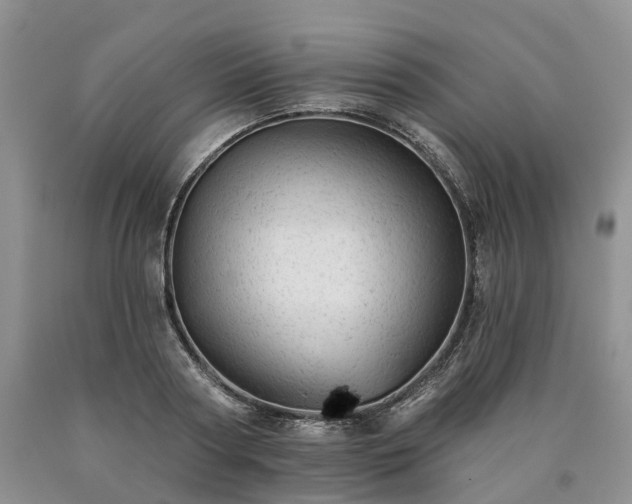 X0000090480794200707201414