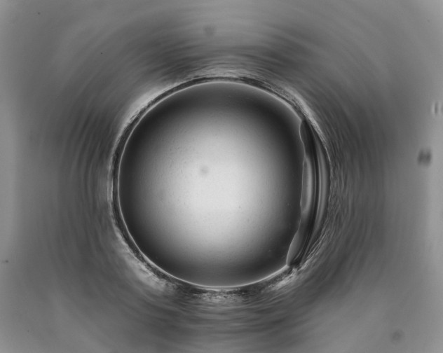 X0000090480795200707201414