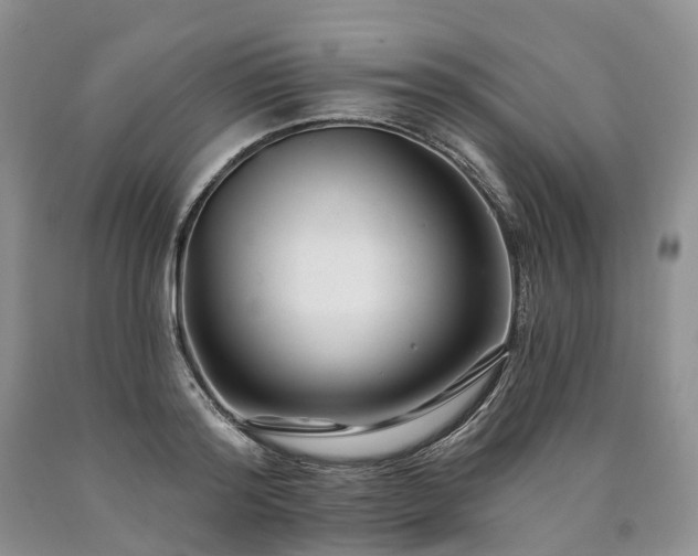 X0000090480796200707201414