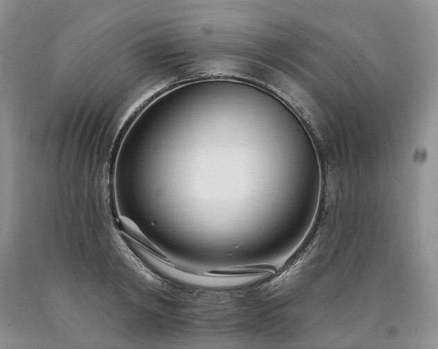 X0000090480798200707201414