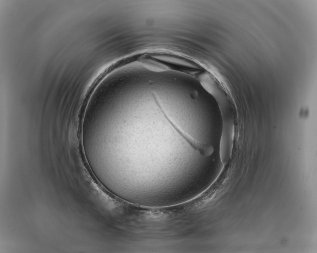 X0000090480799200707201414