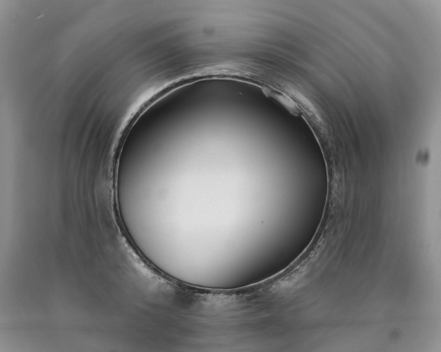 X0000090480800200707201414