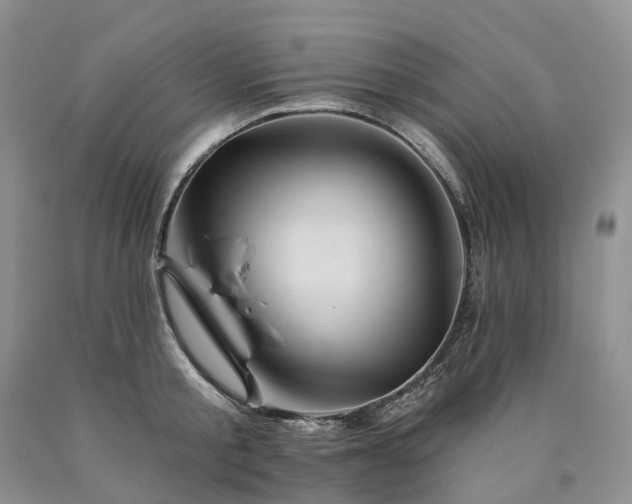 X0000090480805200707201414