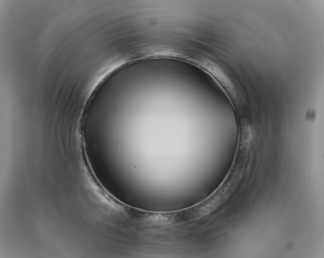 X0000090480806200707201414