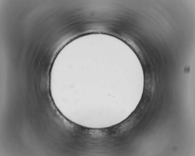 X0000090480807200707201414