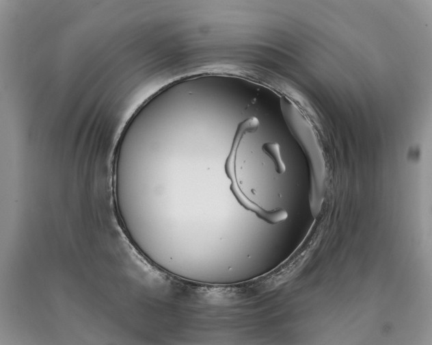 X0000090480808200707201414