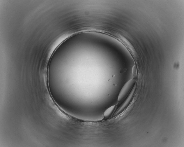 X0000090480812200707201414