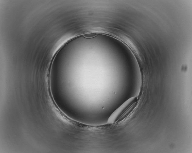 X0000090480814200707201414
