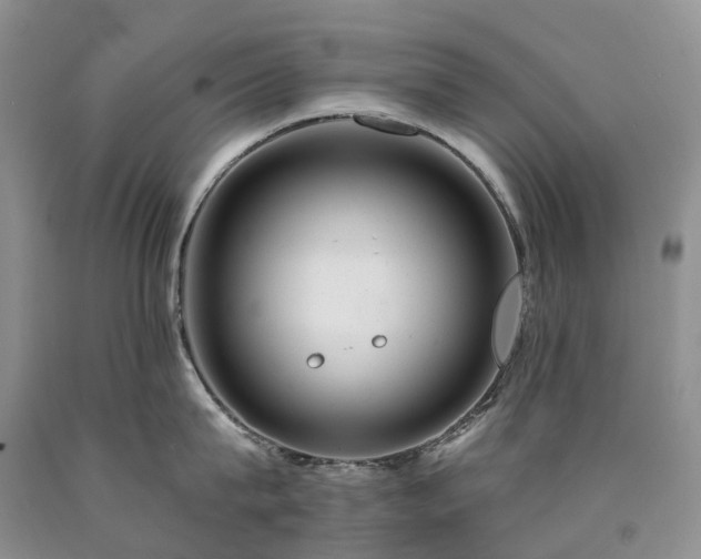 X0000090480815200707201414