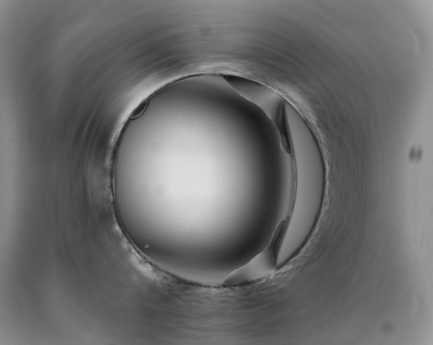 X0000090480816200707201414