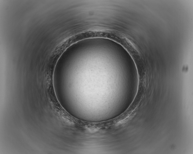 X0000090480821200707201413