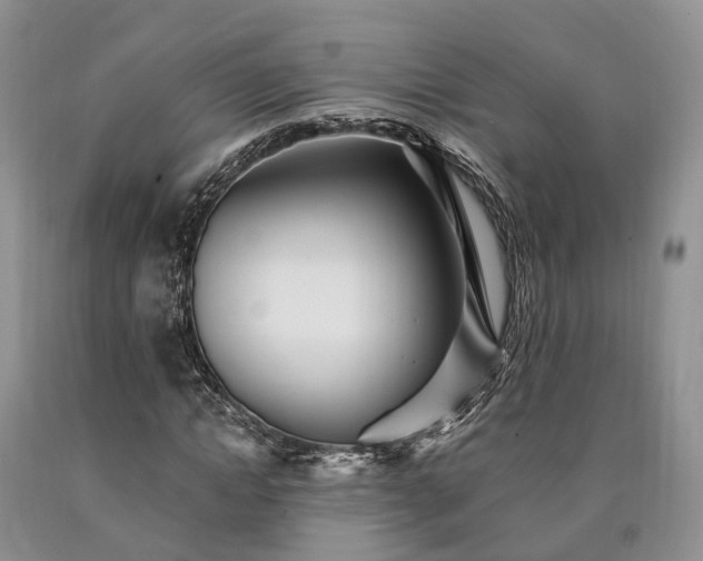 X0000090480822200707201413