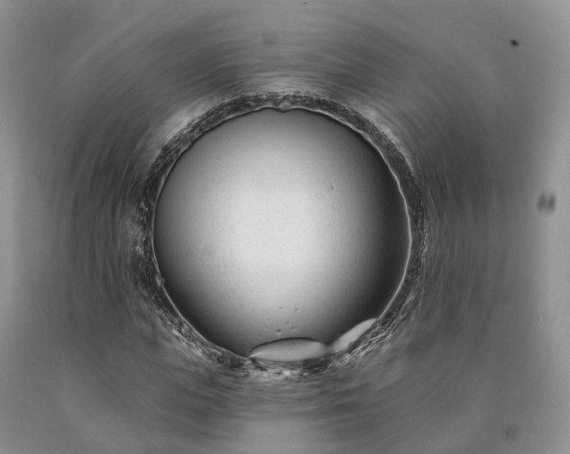 X0000090480823200707201413