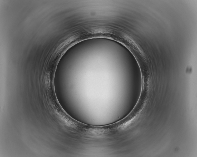 X0000090480825200707201413