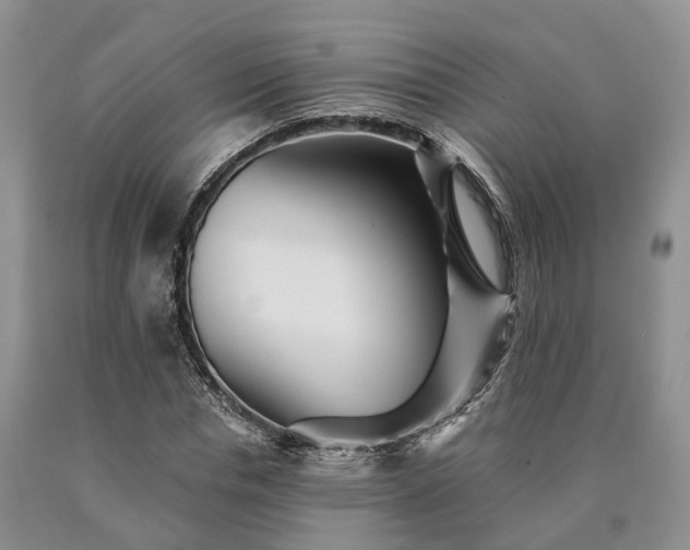X0000090480826200707201413