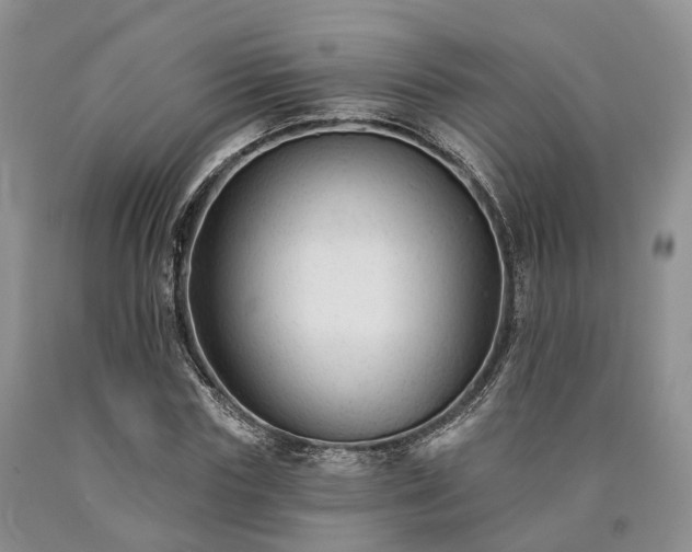 X0000090480827200707201413