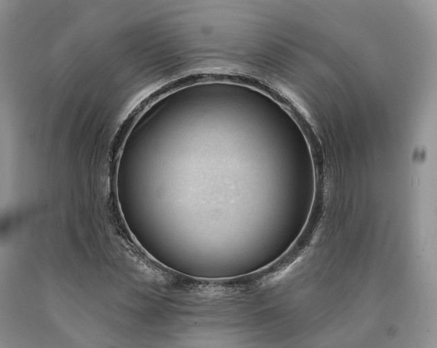 X0000090480829200707201414