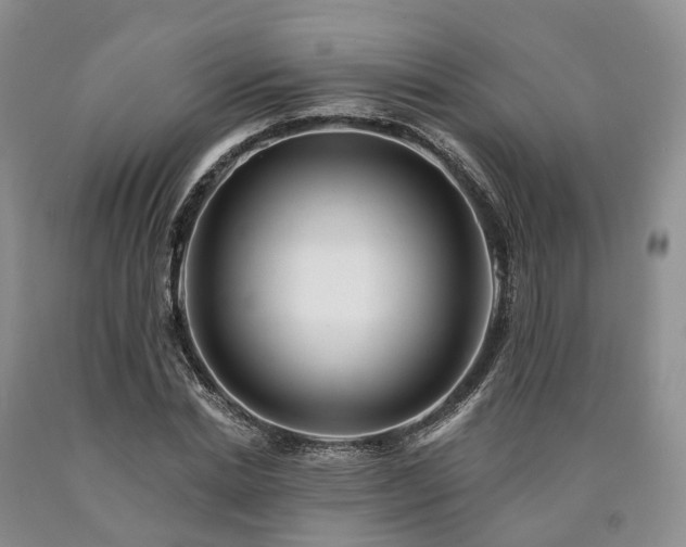 X0000090480830200707201414
