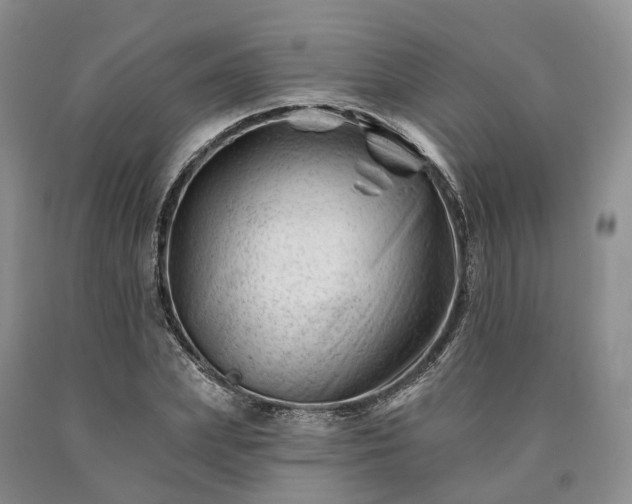 X0000090480831200707201414