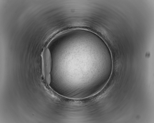 X0000090480833200707201414