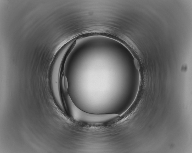 X0000090480834200707201414
